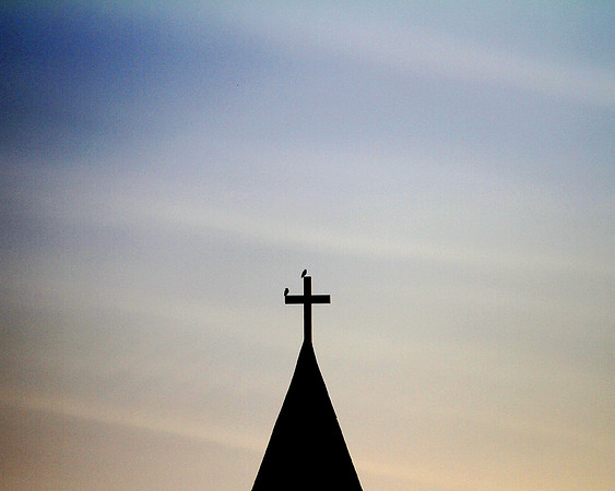 Birds on a Cross in Greenville, Sc